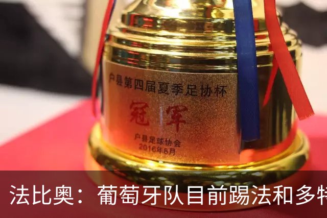 法比奥：葡萄牙队目前踢法和多特相似，我很期待接下来的训练
