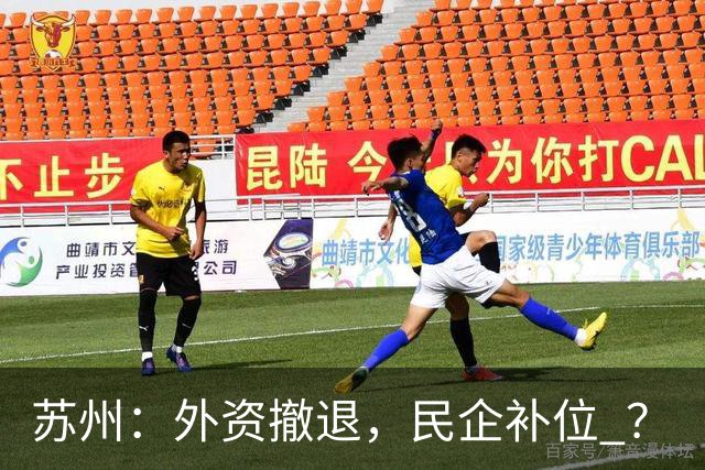 苏州：外资撤退，民企补位 ？